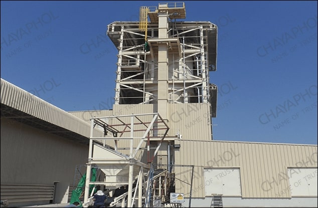 Bucket elevator and Screw Conveyor